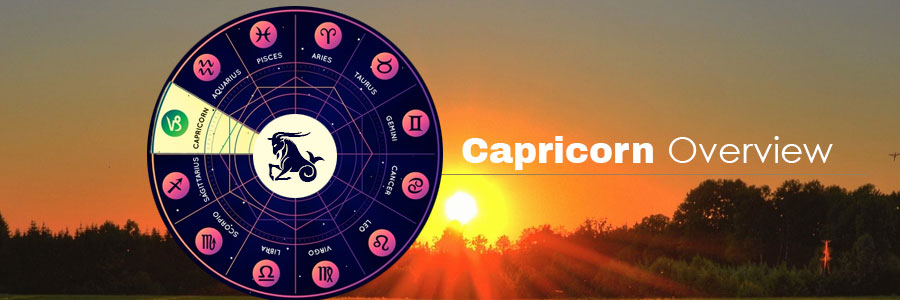 Capricorn -